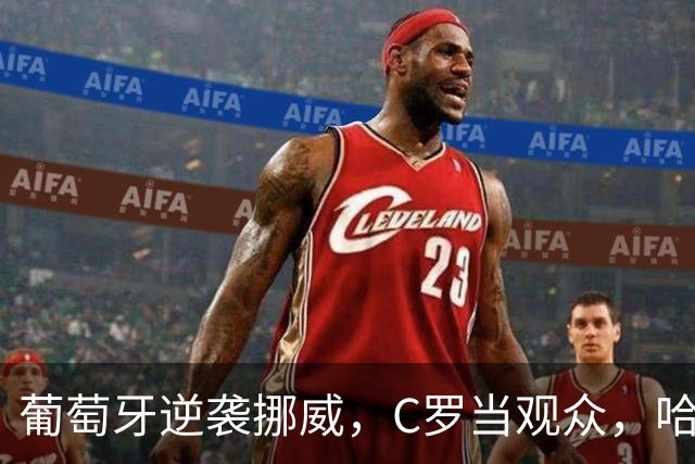 葡萄牙逆袭挪威，C罗当观众，哈兰德却上演“反击秀”！